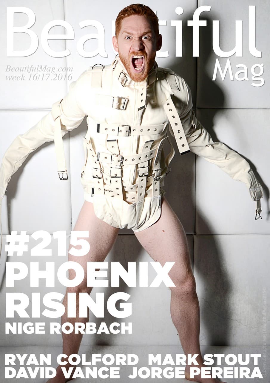 Phoenix Rising - Image 1